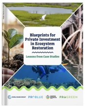 Blueprints for Private Investment in Ecosystem Restoration